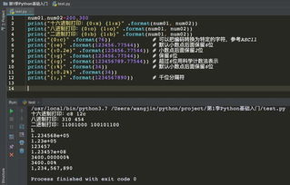 python中format的作用是什么