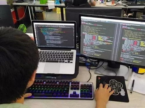 程序员前端和后端哪个工资高