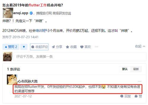 flutter属于前端开发吗