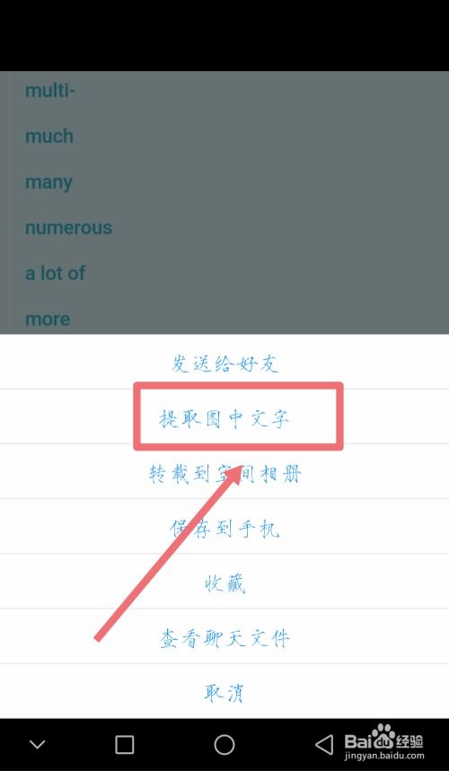如何提取图片中的文字免费
