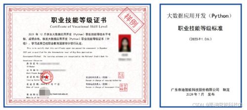 1+x证书是国家级证书吗