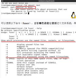 Linux怎么卸载挂载文件