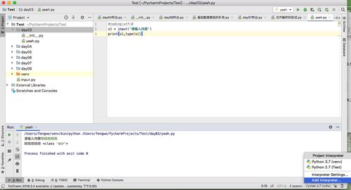 python中input是什么意思