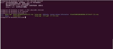 linux系统如何挂载硬盘并拷贝到某个目录下