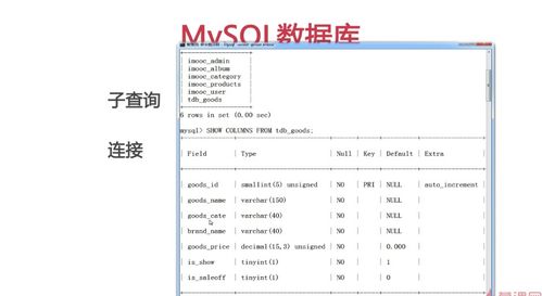 mediumblob是什么意思mysql