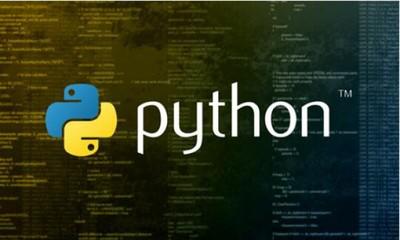 python代表什么
