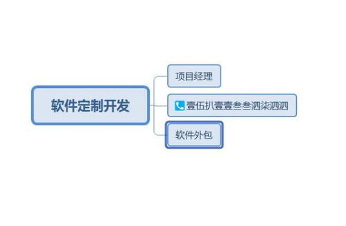 武汉有哪些软件开发外包公司(武汉做软件开发的公司)