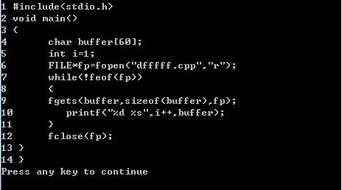 file fp 是什么意思