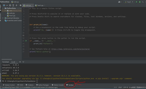 python中pip什么意思
