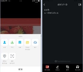 小米手机怎么提取图片中的文字