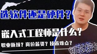 嵌入式软硬件工程师哪个更有前途