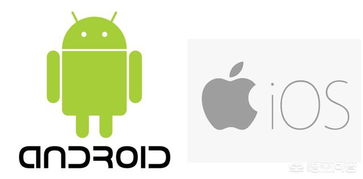 不知开发一个android的app需要多少钱