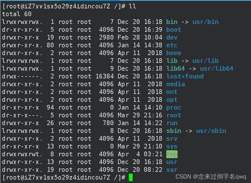 linux常用命令有哪些