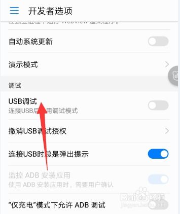 怎么在手机找开发者选项在哪里