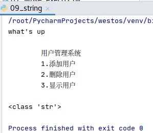用python+将文件中的内容存储为字符串列表
