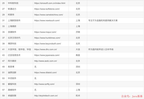 国内软件外包公司有哪些