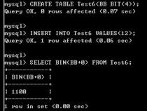 mysql有哪些数据类型