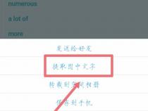 怎样提取图片中的文字