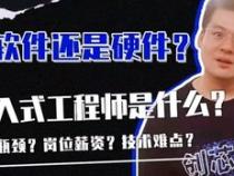 嵌入式软硬件工程师哪个更有前途
