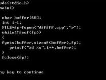 file fp 是什么意思