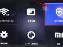 小米Android电视或盒子 ADB 开启方法