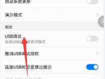 怎么在手机找开发者选项在哪里