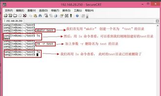 linux怎么删除文件夹