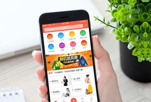 android手机app开发外包流程