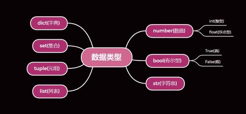 python的数据类型有哪些