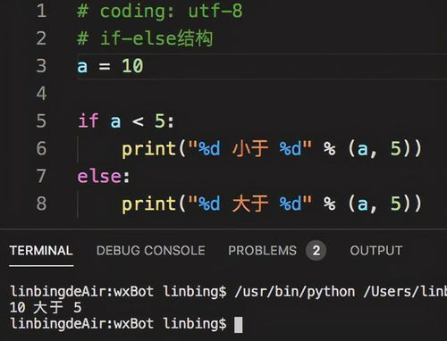 python中true