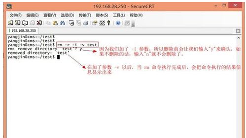 linux下如何删除整个文件夹-搜狗输入法