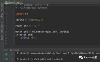 python表达式是什么意思