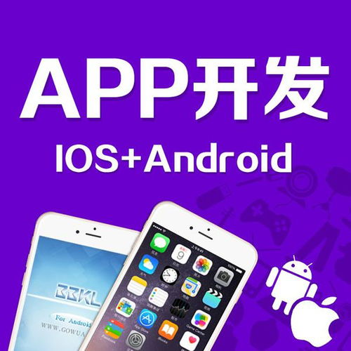 直播APP安卓开发大概好多钱