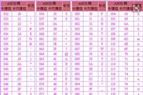 ascll字符是什么意思