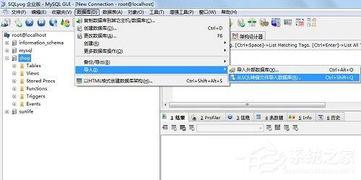如何导入MySQL数据库