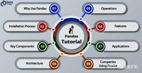什么是pandas