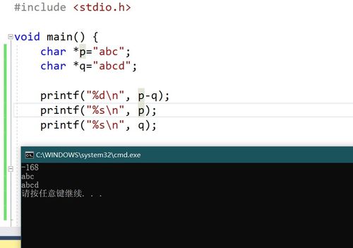c语言s什么意思