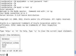 mysql数据库的配置文件在哪里