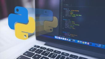 怎样理解python是解释性的