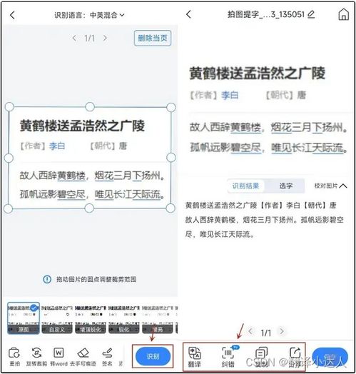 图片文字提取怎么弄