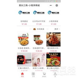 南宁app开发的公司,效率高的