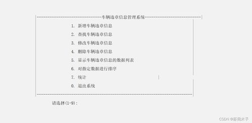 运输公司车辆管理 课程设计
