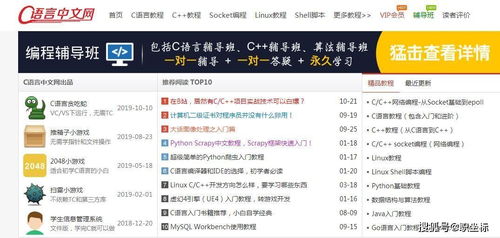 网络c语言是什么梗