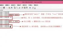 linux怎么删除文件夹