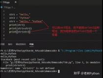 str在python中是什么意思