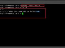 linux 删除文件需要什么权限