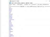 python的关键字有哪些,都是什么意思