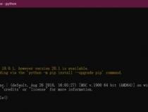 torch支持python吗