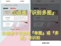 荣耀80在哪里提取图片文字