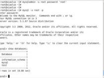 mysql数据库的配置文件在哪里
